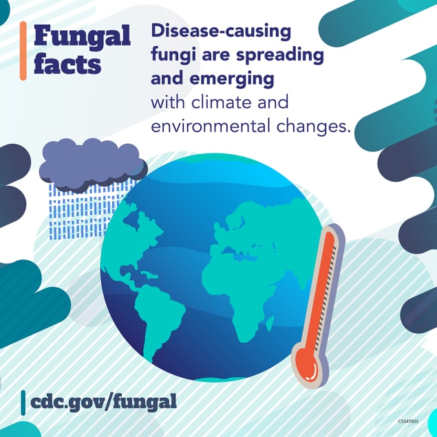 Fungal facts: Disease-causing fungi are spreading and emerging with climate and environmental changes.