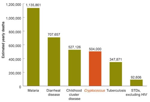 C. neoformans Infection Statistics | Fungal Diseases | CDC