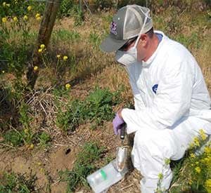 Testing soil for Coccidioides is sometimes done as a research activity