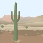 Illustration of a cactus in a desert