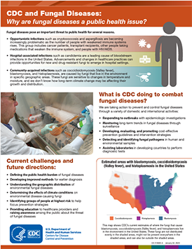 CDC and Fungal Disease factsheet thumbnail