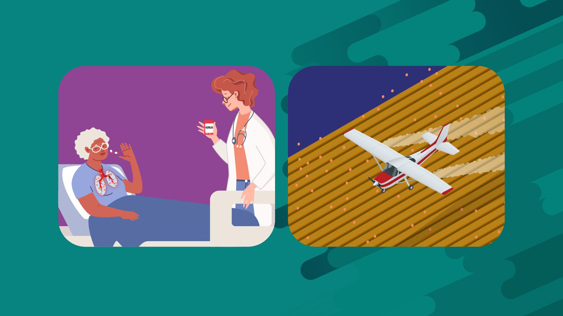 side by side illustrations. One of a hospital patient taking azoles. The other of a plane spraying crops with azoles.