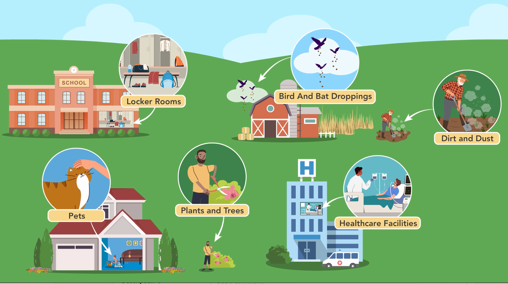 Places and ways fungal diseases spread: locker rooms, pets at home, bird and bat droppings, dirt/dust, and hospitals.