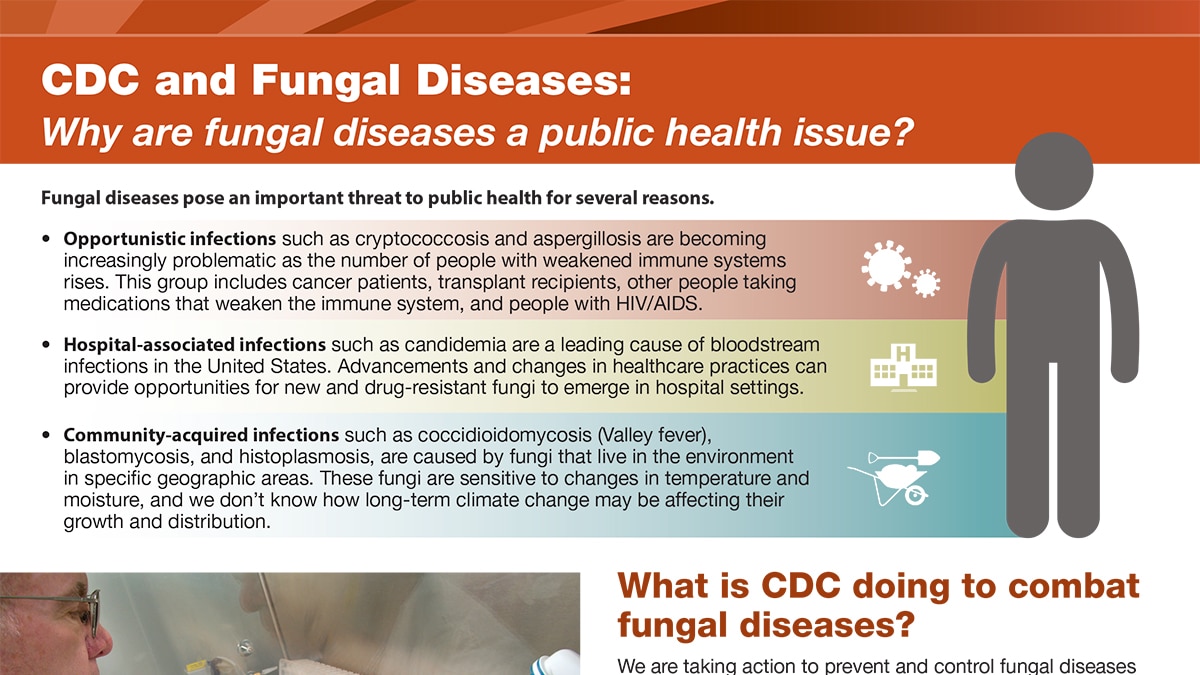 CDC and Fungal Diseases: Why Are Fungal Diseases a Public Health Problem?