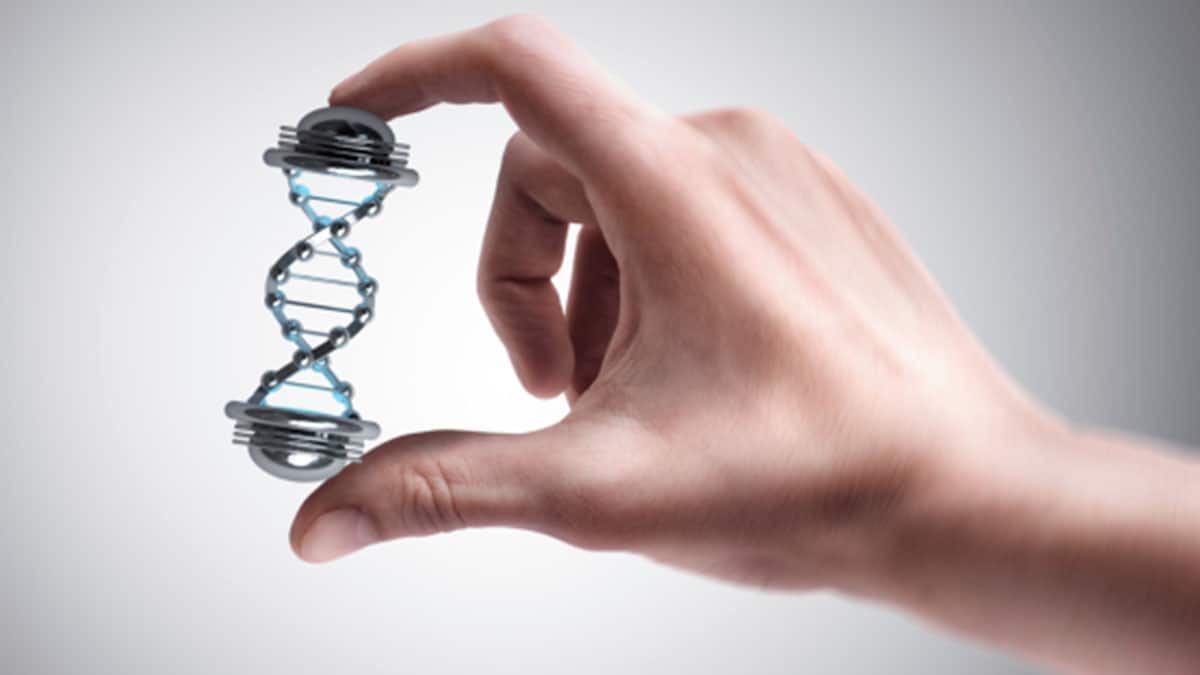 A hand holding a double helix model