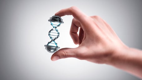 a hand holding DNA