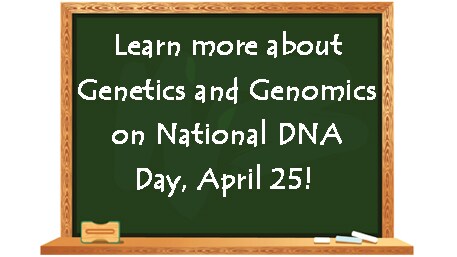Learn more about Genetics and Genomics on National DNA Day, April 25!  written on a Chalk Board