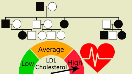 a pedigree and a gauge for LDL cholesterol and a heart