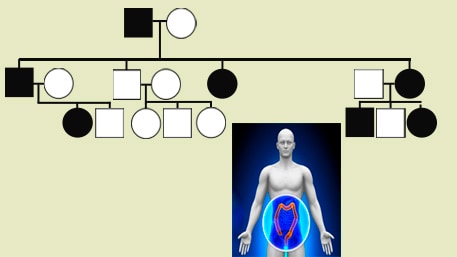 a pedigree and a body with an exposed colon