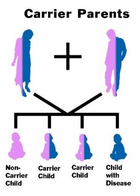carrier parents with four children (one non-carrier, two carrier children and on child with the disease