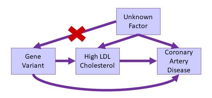 Unknow factor with an arrow with a red x to Gene Variant, also arrows to LDL cholesterol and Coronary Artery Disease and arrow between them