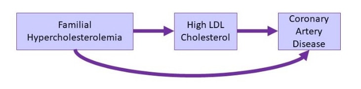 Familiar hypercholersterolemia with arrow to High LDL cholesterol and arrow to Coronary Artery Disease