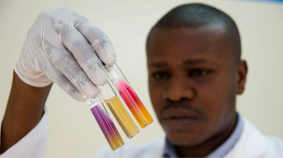 Lab technician in a white coat and glove holding three test tubes with purple, yellow, and pink liquid samples.