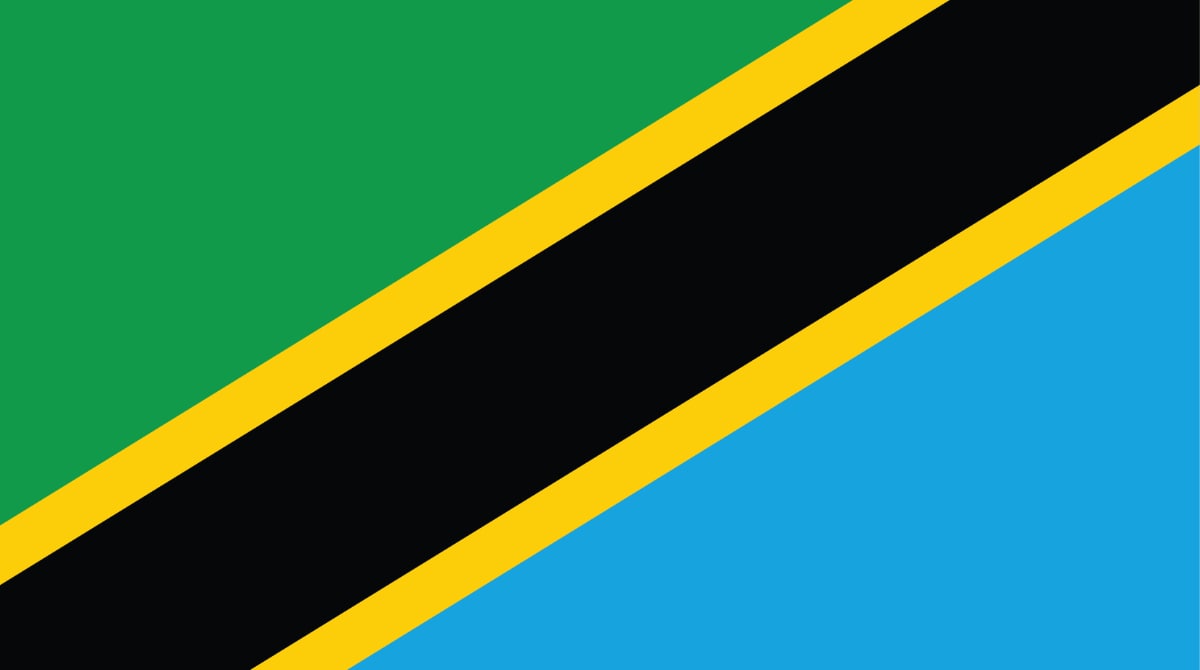 The flag of Tanzania consists of two triangles, one green and the other blue, diagonally separated. There's a thin black diagonal stripe running from the bottom left corner to the top right corner, bordered by thin yellow stripes on either side.