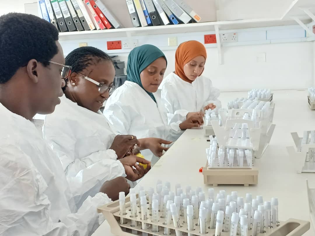 Four lab scientists in white coast labeling tubes.