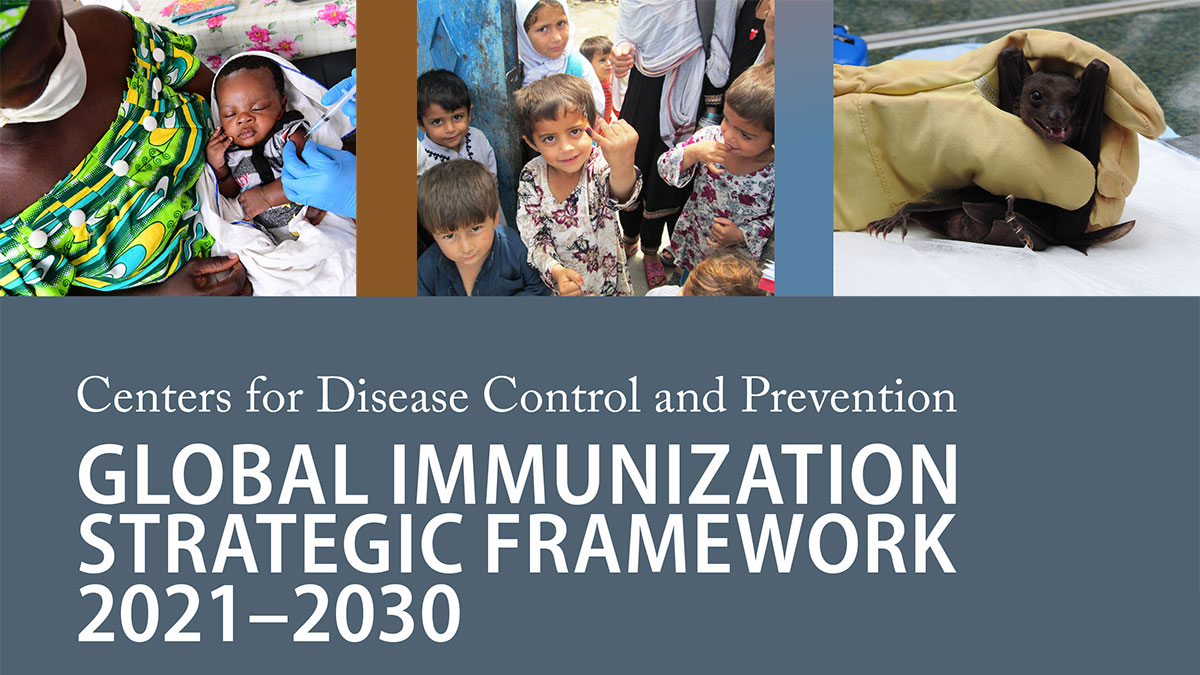 Global Immunization Strategic Framework cover