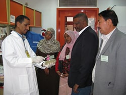 CDC working in Egypt