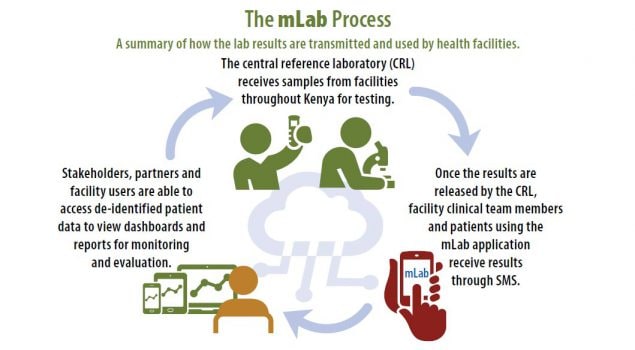 The mLab process