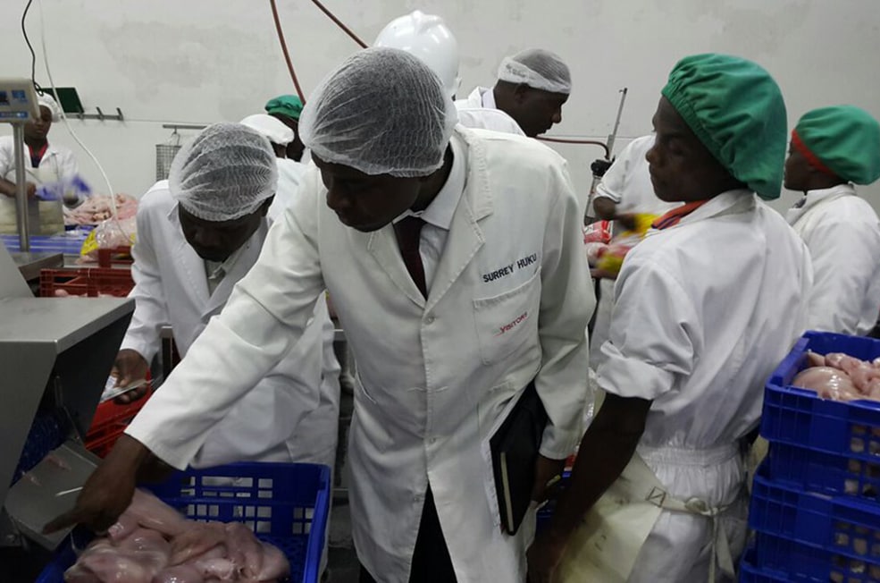 FETP resident Eliot Freddy Chikati demonstrates surface swabbing on a meat supplier’s chicken cutter during a 2015 Salmonella investigation in Zimbabwe.
