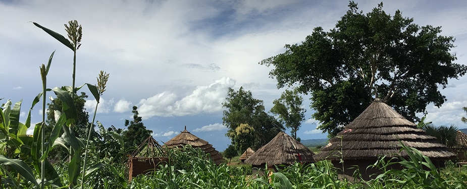Village in Arua District, Uganda. Photo: Bao-Ping Zhu.