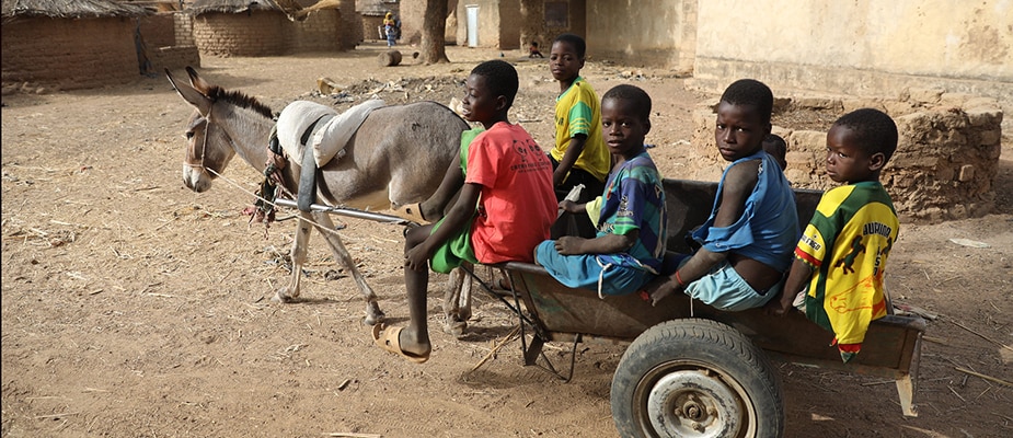 While completing community assessments in Burkina Faso, local health workers come across a donkey pulling children in a cart. Photo: Evelyn Hockstein, CDC Foundation