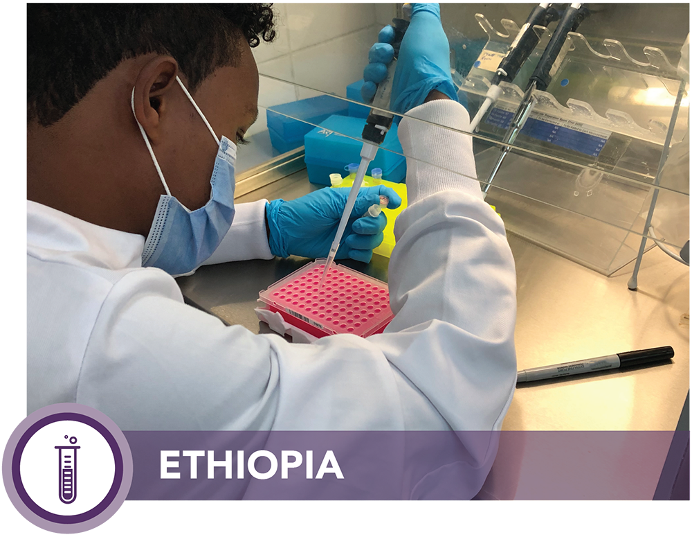 Laboratory scientists receive and log COVID-19 specimens at the Ethiopian Public Health Institute. Photo: Anne Purfield, CDC Ethiopia