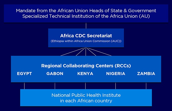 Flowchart: Level 1: Mandate from the African Union Heads of State and Government Specialized Technical Institution of the Africa Union (AU); Level 2: Africa CDC Secretariat (Ethiopia within Africa Union Commission (AUC)); Level 3: Regional Collaborating Centers (RCCs) - Egypt, Gabon, Kenya, Nigeria, Zambia; Level 4: National Public Health Institute in each African country