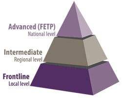 FETP pyramid illustration: Frontline (local level); Intermediate (regional level); Advanced (national level)