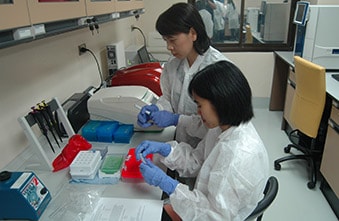 Lab workers in Thailand