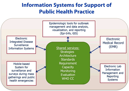 Information Systems for Support of Public Health Practice