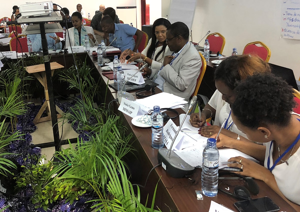 One Health taskforce members strategize at the One Health Zoonotic Disease Prioritization Workshop in Mozambique in April 2018. Photo: CDC One Health Office