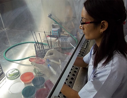 Indian laboratorian at work with cell culture. Photo: CDC India