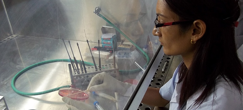 Indian laboratorian at work with cell culture. Photo: CDC India.