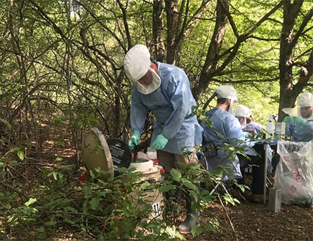 Orthopox field team processing small mammal samples in Akhmeta municipality, Georgia. Photo: Giorgi Maghlakelidze