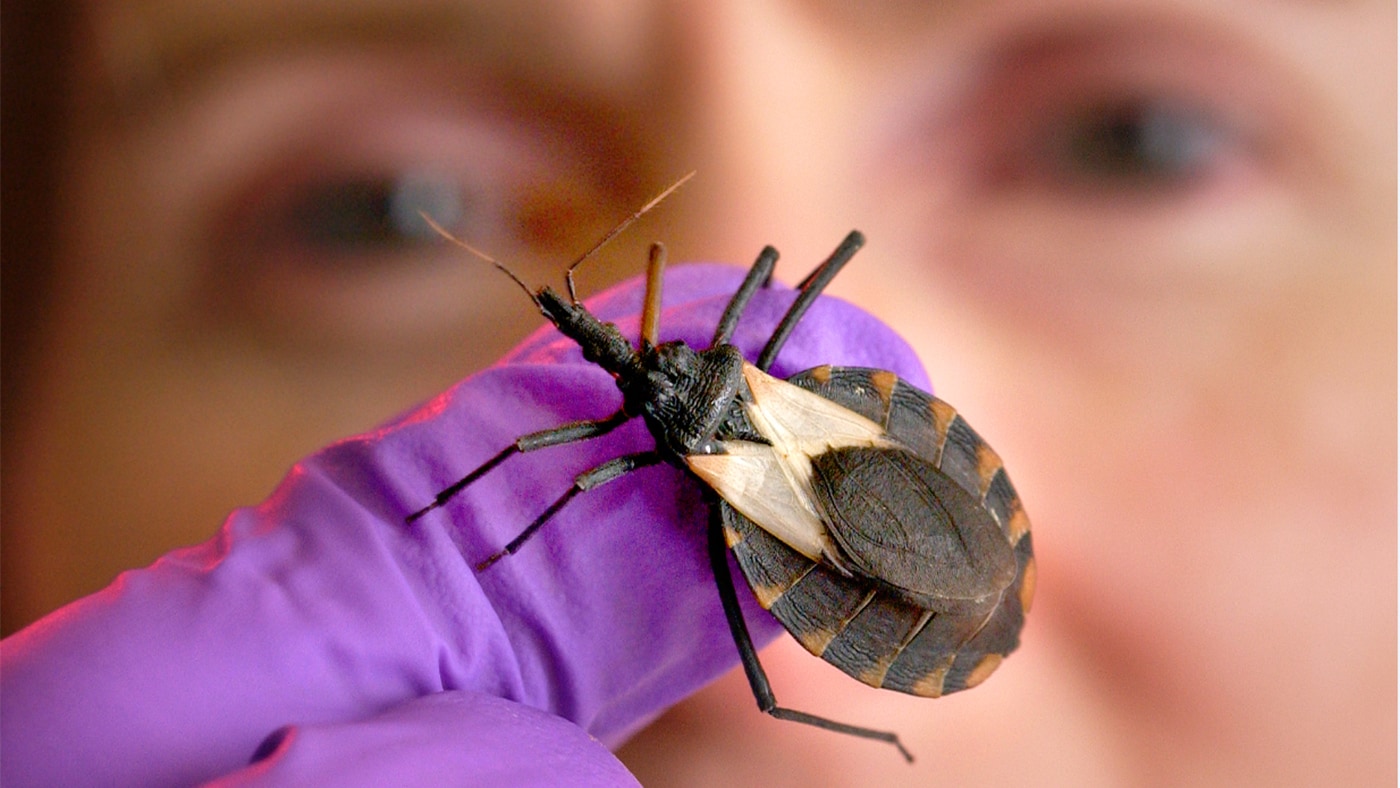 World Chagas Disease Day 2020: CDC joins the global community to recognize the first-ever World Chagas Disease Day to raise awareness of Chagas disease, a parasitic disease that affects about 7 million people, mostly in the Americas.