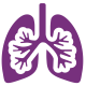 Web-Icons16-lung-2