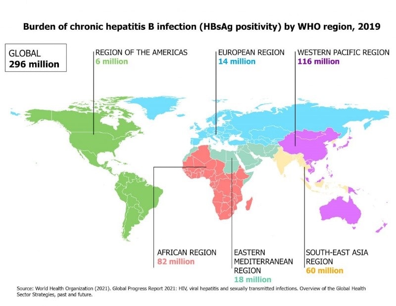 Global chronic hepatitis B infections for 2019 totaled 296 million. Infections by region were: Region of the Americas: 6 million, European Region: 14 million, Western Pacific Region: 116 infection, African Region: 82 million, Eastern Mediterranean Region: 18 million, and South-East Asia Region: 60 million.