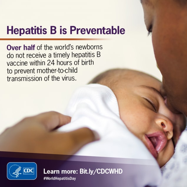 Over half of the world's newborns do not receive a timely hepatitis B vaccine within 24 hours of birth.