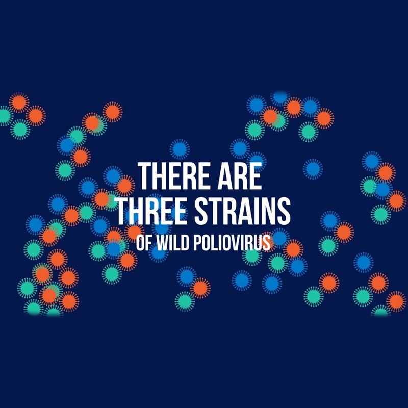 Wild Polio Virus #endpolio
