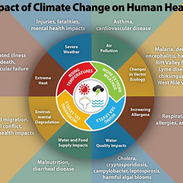 Climate change, together with other natural and human-made health stressors, influences human health and disease in numerous ways.