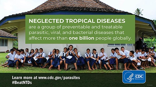 neglected tropical diseases 1 billion