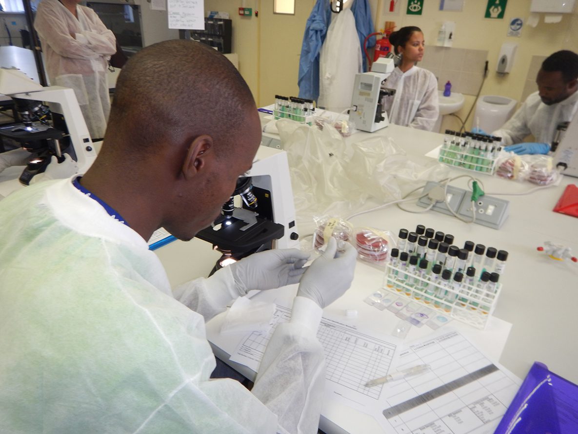 CDC and PEPFAR have contributed to a global increase in testing facilities with the capacity to perform clinical lab tests.
