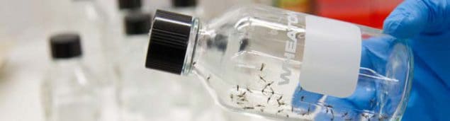 The CDC Bottle Bioassay determines if particular ingredients are able to kill an insect vector, such as a mosquito, at a specific location at a given time. Credit: David Snyder, CDC Foundation. 