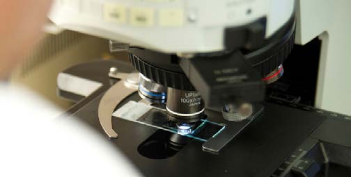 A CDC scientist examines a slide via microscopy to identify parasites.
