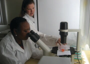 Dr. Jennifer Faulwetter trains Laboratory Technologist, Ms. Miriam Matonya, in virus isolation at Tanzania’s National Influenza Center.