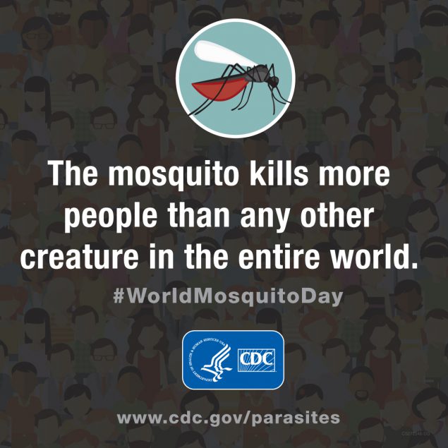 The mosquito kills more people than any other creature in the entire world.
