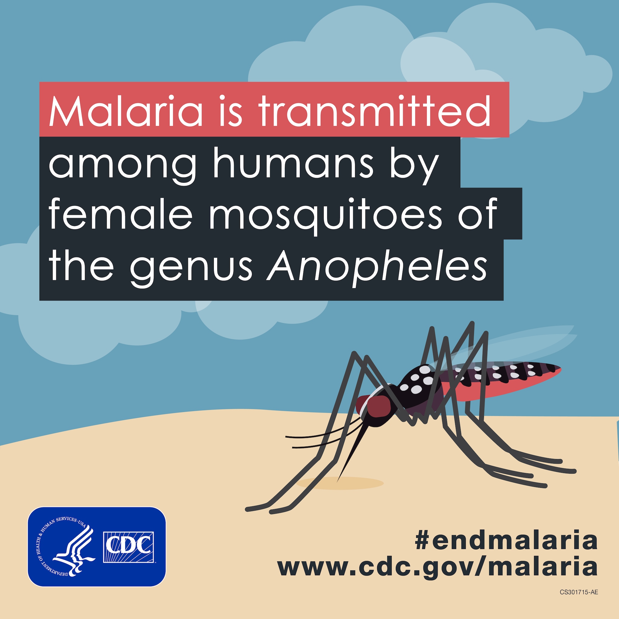 Malaria is transmitted among humans by female mosquitoes of the genus Anopheles