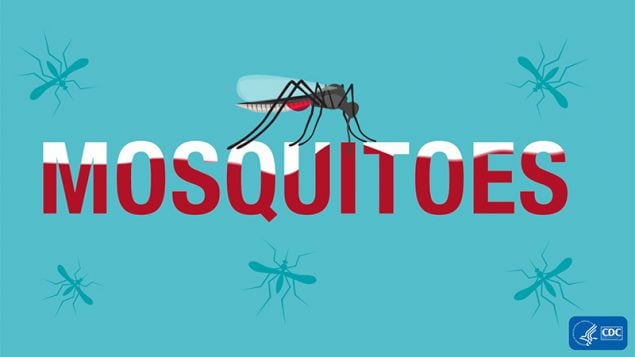 World Mosquito Day August 20th