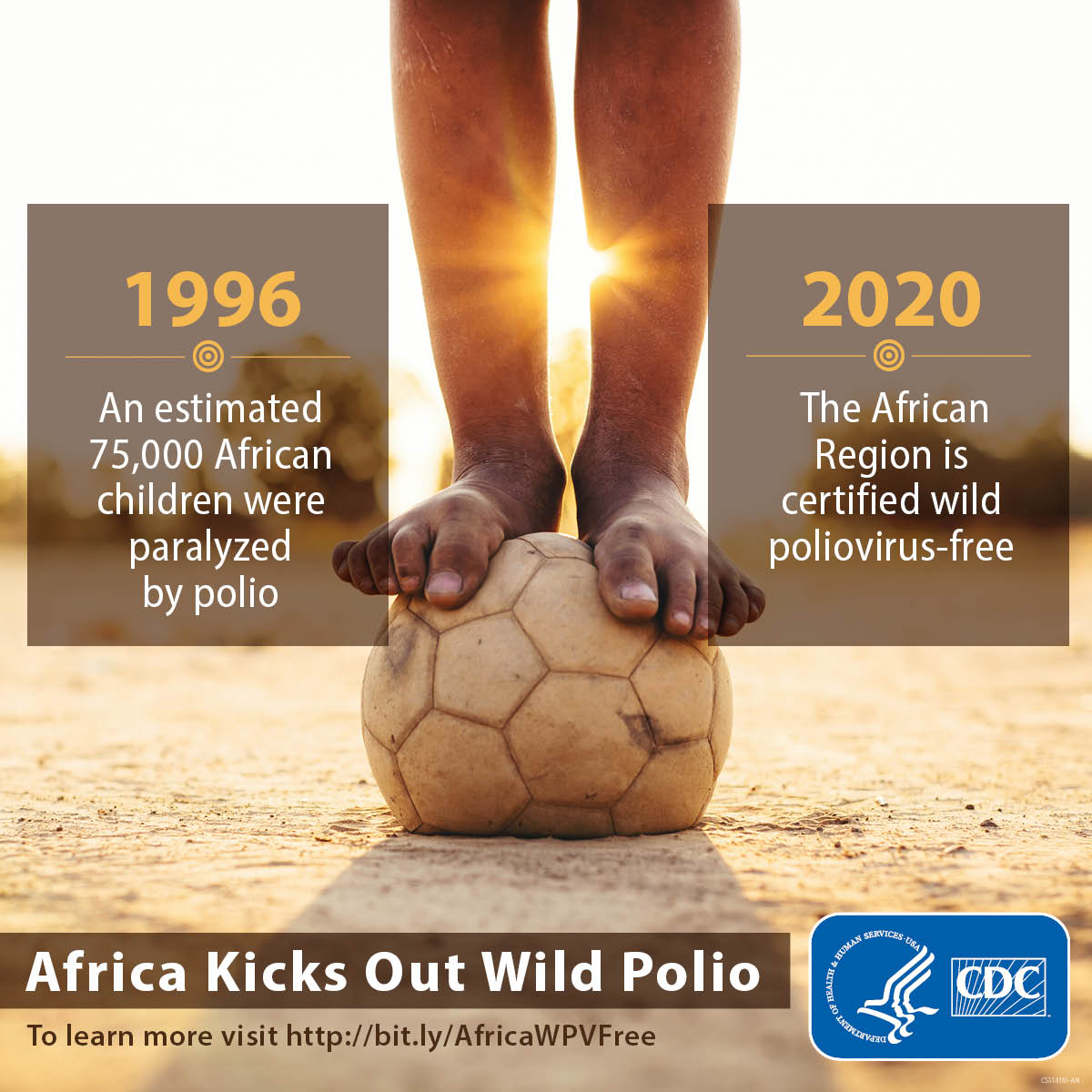 The African region is certified Wild-Polio-Virus-free
