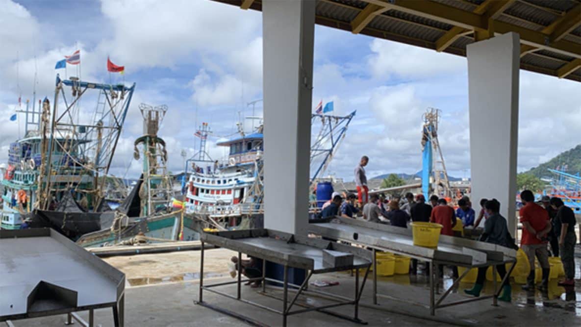 Photo of migrant workers at fisheries in Phuket